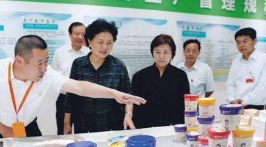 原中共中央政治局委員、國務院副總理劉延東視察我公司